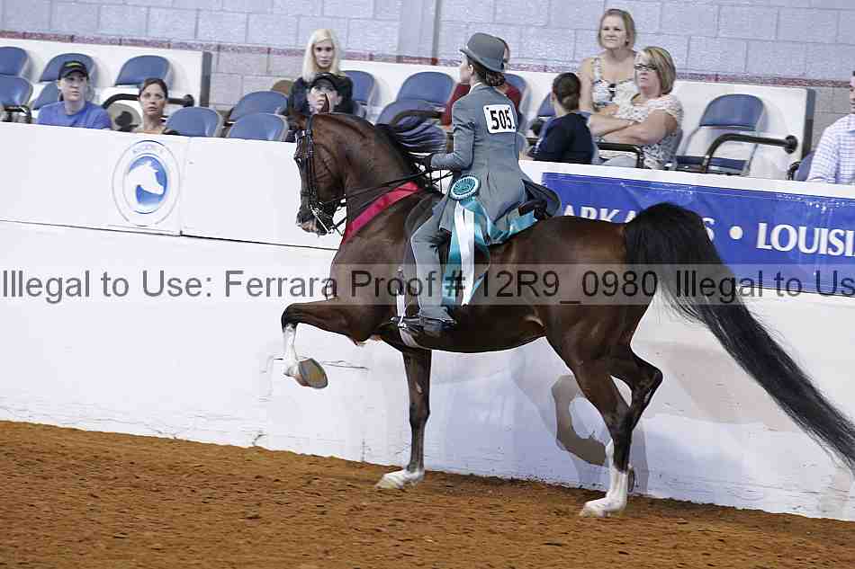 Proof 12r9_0980