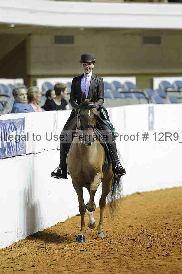 Proof 12r9_0981