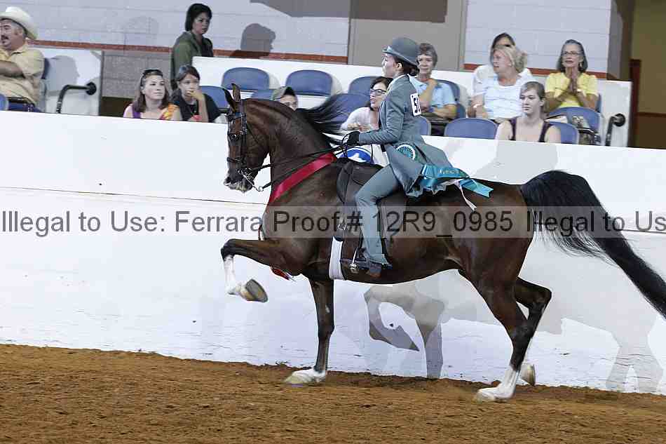 Proof 12r9_0985