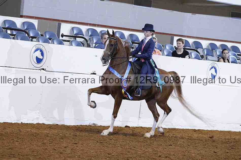 Proof 12r9_0987