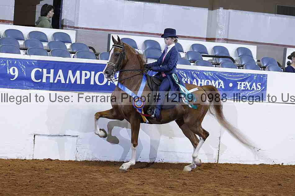 Proof 12r9_0988