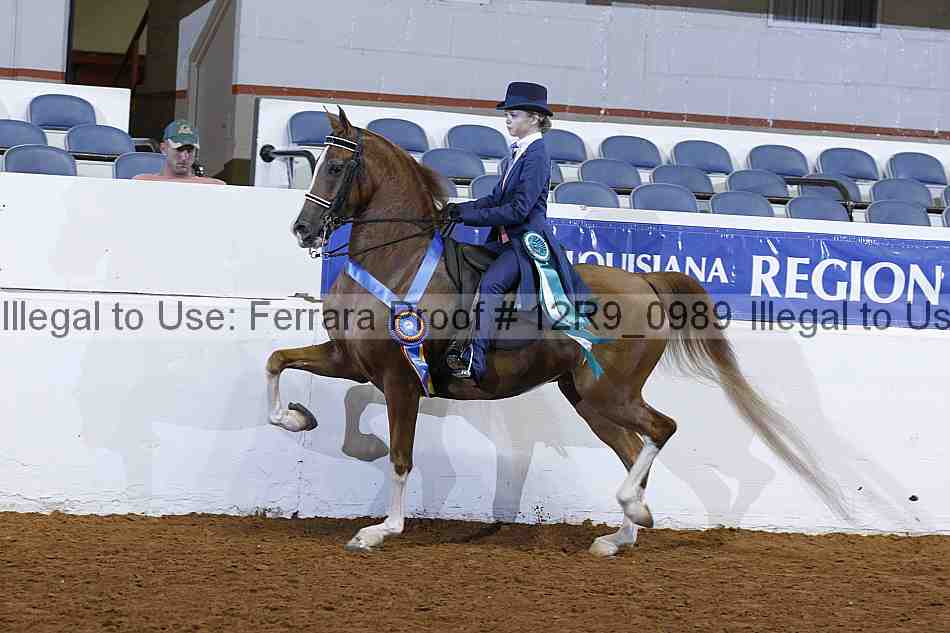 Proof 12r9_0989
