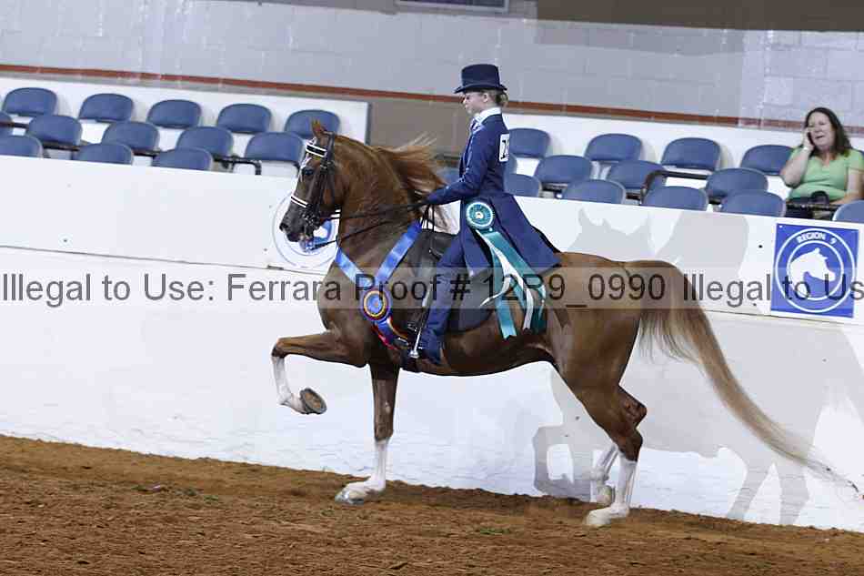 Proof 12r9_0990