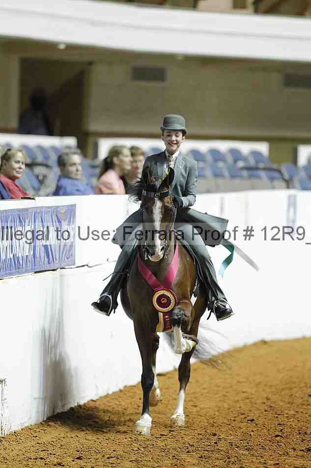 Proof 12r9_0991