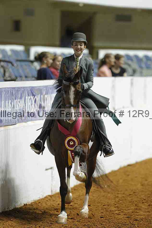Proof 12r9_0992