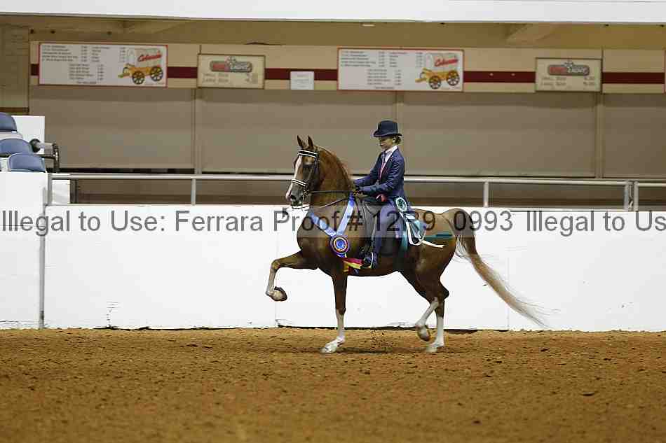 Proof 12r9_0993