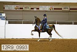 12r9_0993 proof
