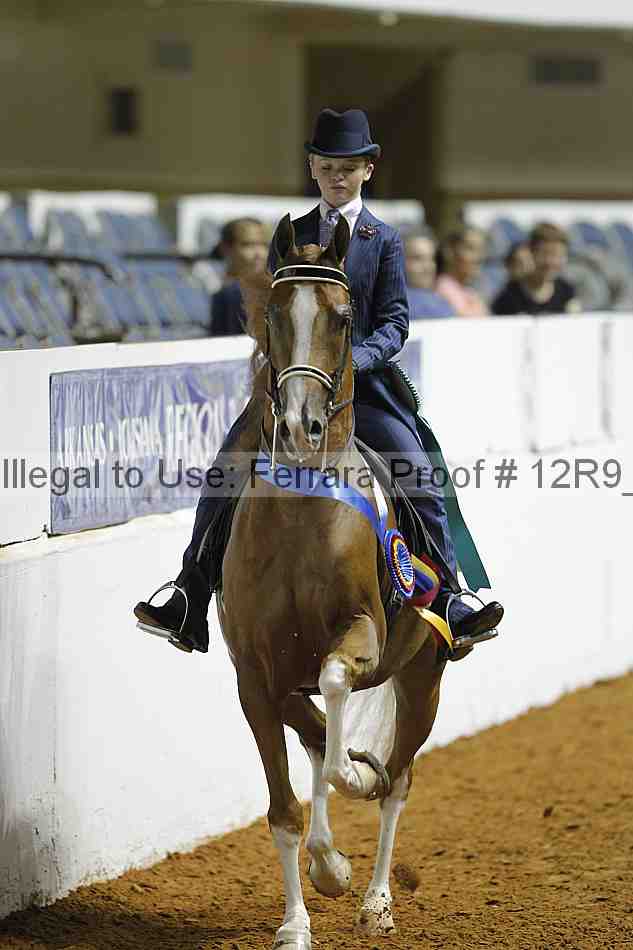Proof 12r9_0995