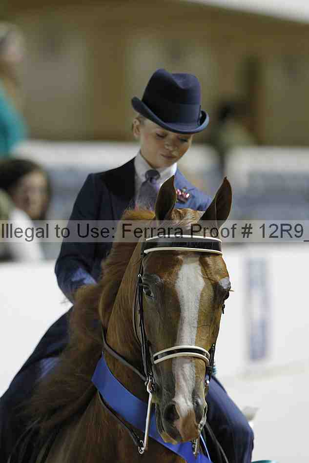 Proof 12r9_0998