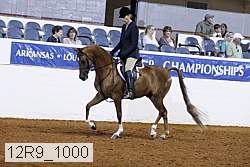 12r9_1000 proof