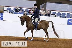 12r9_1001 proof