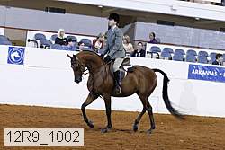 12r9_1002 proof