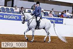 12r9_1003 proof