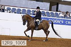 12r9_1005 proof