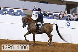 12r9_1006 proof