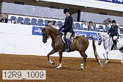 12r9_1009 proof