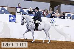 12r9_1011 proof