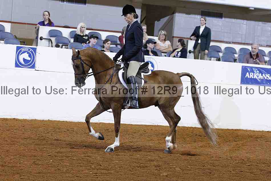 Proof 12r9_1018