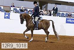 12r9_1018 proof