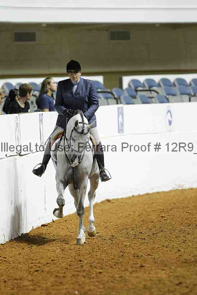 Proof 12r9_1029