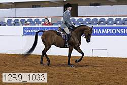 12r9_1033 proof