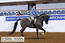 12r9_1035 proof