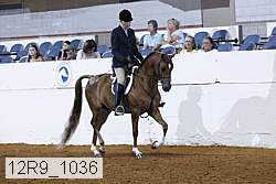 12r9_1036 proof