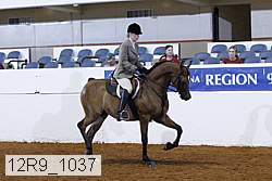 12r9_1037 proof