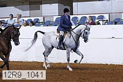 12r9_1041 proof