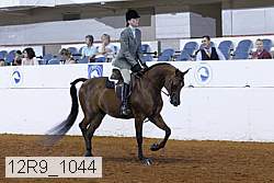 12r9_1044 proof