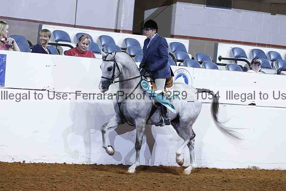Proof 12r9_1054