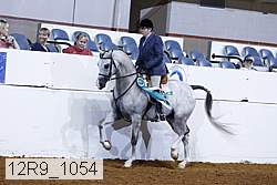 12r9_1054 proof