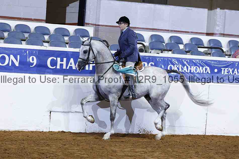 Proof 12r9_1055