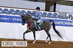 12r9_1063 proof