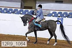 12r9_1064 proof