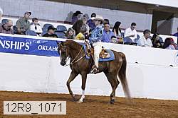 12r9_1071 proof