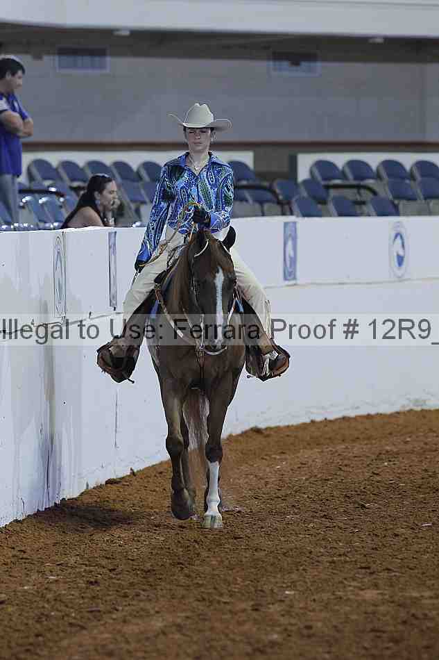 Proof 12r9_1077