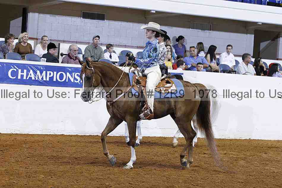 Proof 12r9_1078