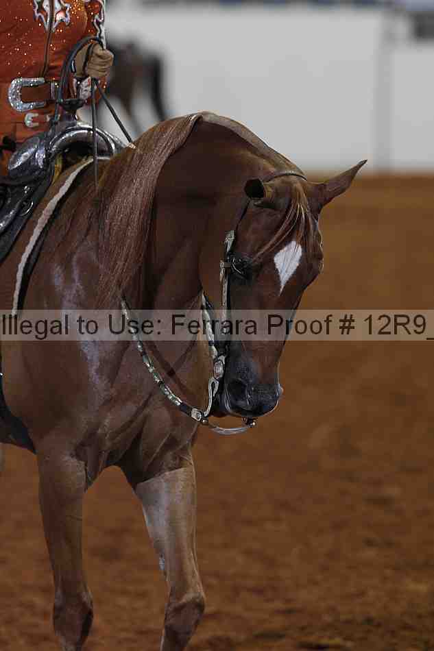 Proof 12r9_1084