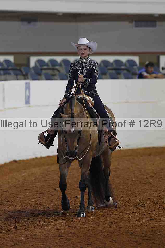 Proof 12r9_1091