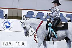 12r9_1096 proof