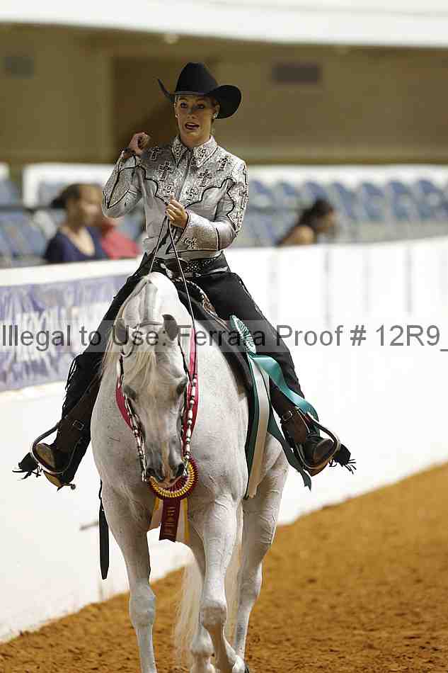 Proof 12r9_1099