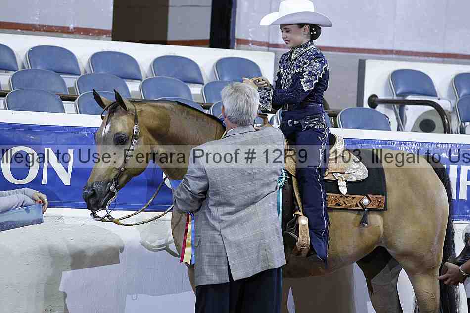 Proof 12r9_1103