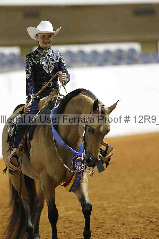 Proof 12r9_1107