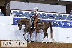 12r9_1115 proof