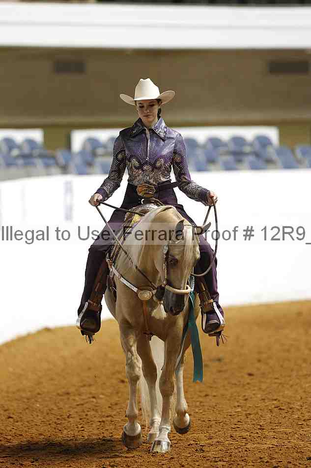 Proof 12r9_1117