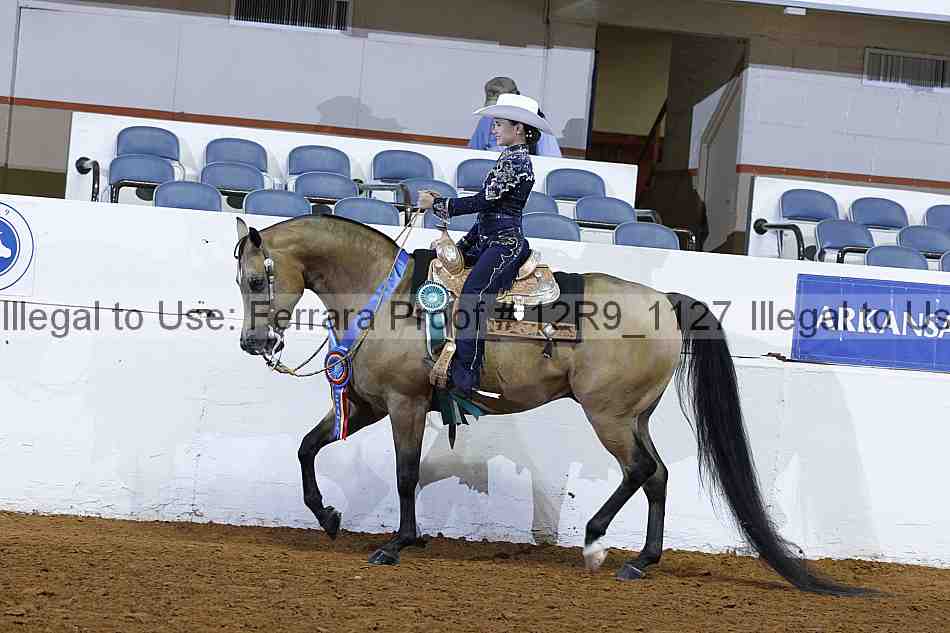 Proof 12r9_1127