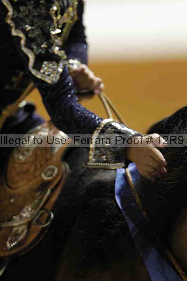 Proof 12r9_1136