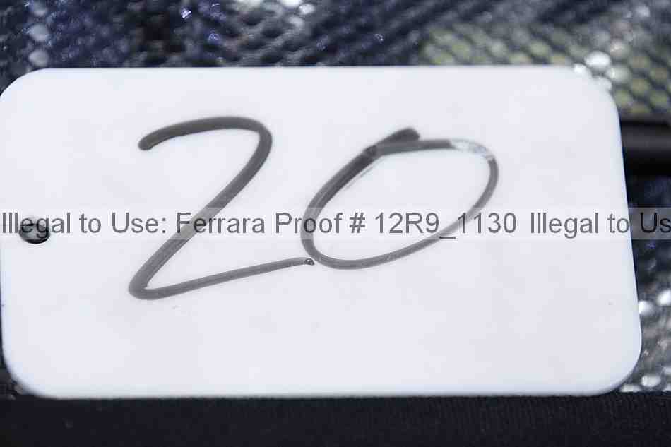 Proof 12r9_1130