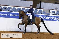 12r9_1141 proof